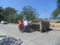 /album/jacelparque/trabajo-jpg/